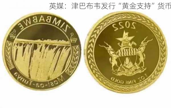 英媒：津巴布韦发行“黄金支持”货币