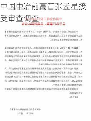 中国中冶前高管张孟星接受审查调查