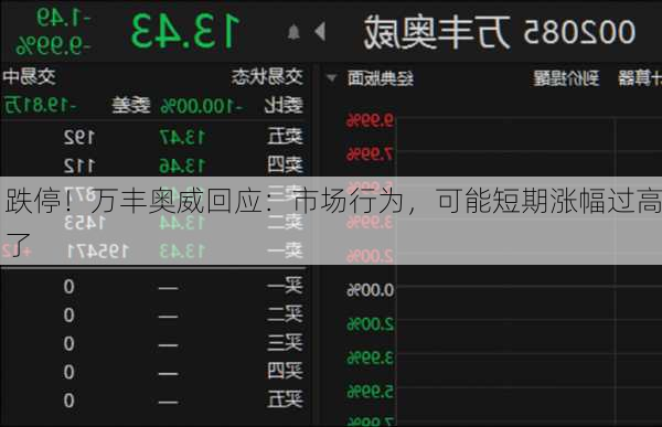 跌停！万丰奥威回应：市场行为，可能短期涨幅过高了