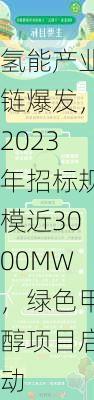 氢能产业链爆发，2023年招标规模近3000MW，绿色甲醇项目启动