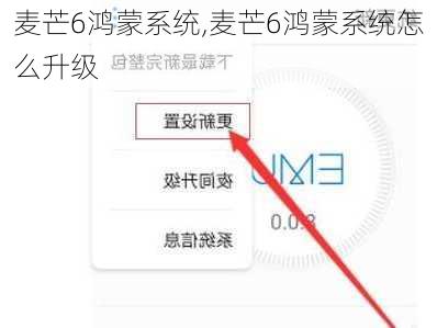 麦芒6鸿蒙系统,麦芒6鸿蒙系统怎么升级