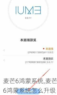麦芒6鸿蒙系统,麦芒6鸿蒙系统怎么升级