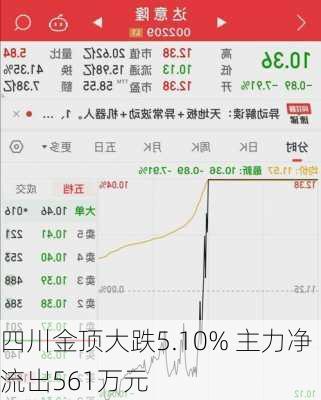 四川金顶大跌5.10% 主力净流出561万元