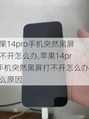 苹果14pro手机突然黑屏打不开怎么办,苹果14pro手机突然黑屏打不开怎么办什么原因