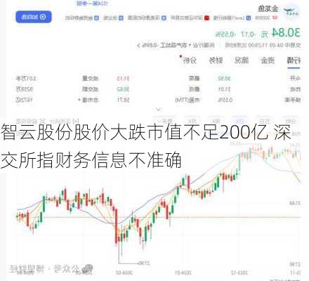 智云股份股价大跌市值不足200亿 深交所指财务信息不准确