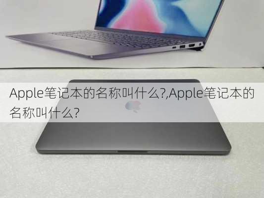 Apple笔记本的名称叫什么?,Apple笔记本的名称叫什么?