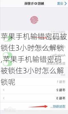 苹果手机输错密码被锁住3小时怎么解锁,苹果手机输错密码被锁住3小时怎么解锁呢