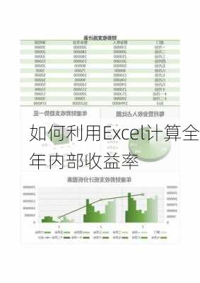 如何利用Excel计算全年内部收益率