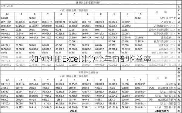 如何利用Excel计算全年内部收益率