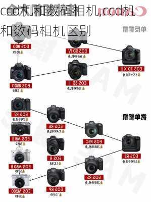 ccd机和数码相机,ccd机和数码相机区别