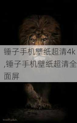 锤子手机壁纸超清4k,锤子手机壁纸超清全面屏