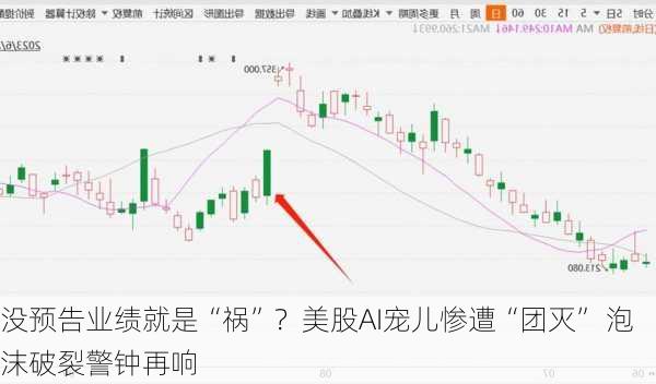 没预告业绩就是“祸”？美股AI宠儿惨遭“团灭” 泡沫破裂警钟再响