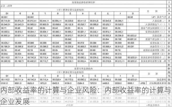 内部收益率的计算与企业风险：内部收益率的计算与企业发展