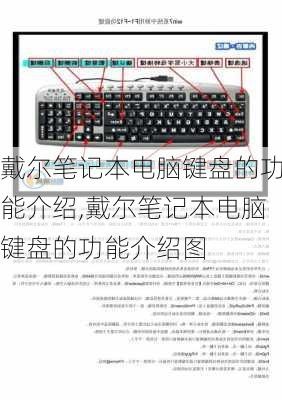 戴尔笔记本电脑键盘的功能介绍,戴尔笔记本电脑键盘的功能介绍图