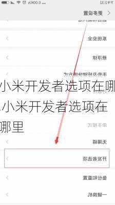 小米开发者选项在哪,小米开发者选项在哪里