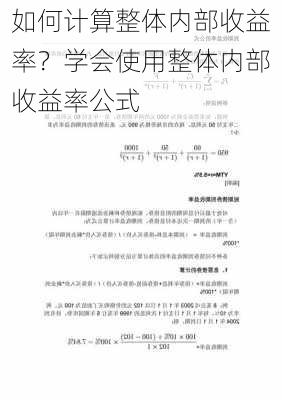 如何计算整体内部收益率？学会使用整体内部收益率公式