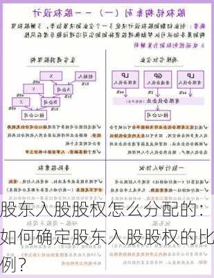 股东入股股权怎么分配的：如何确定股东入股股权的比例？