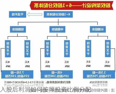 入股后利润如何按照投资比例分配