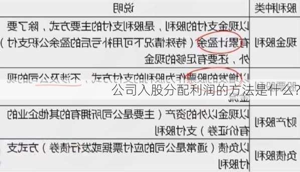 公司入股分配利润的方法是什么？