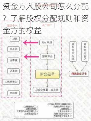 资金方入股公司怎么分配？了解股权分配规则和资金方的权益