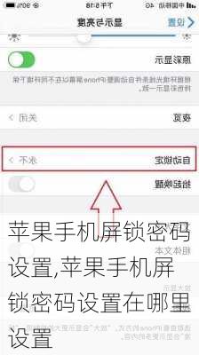 苹果手机屏锁密码设置,苹果手机屏锁密码设置在哪里设置