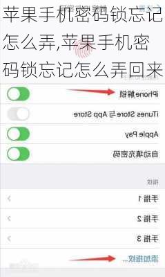 苹果手机密码锁忘记怎么弄,苹果手机密码锁忘记怎么弄回来