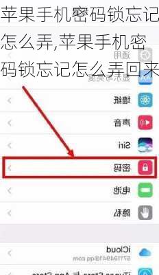 苹果手机密码锁忘记怎么弄,苹果手机密码锁忘记怎么弄回来