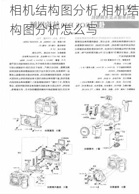 相机结构图分析,相机结构图分析怎么写