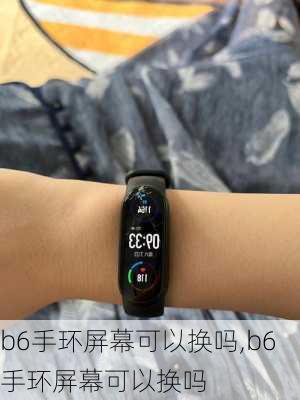 b6手环屏幕可以换吗,b6手环屏幕可以换吗