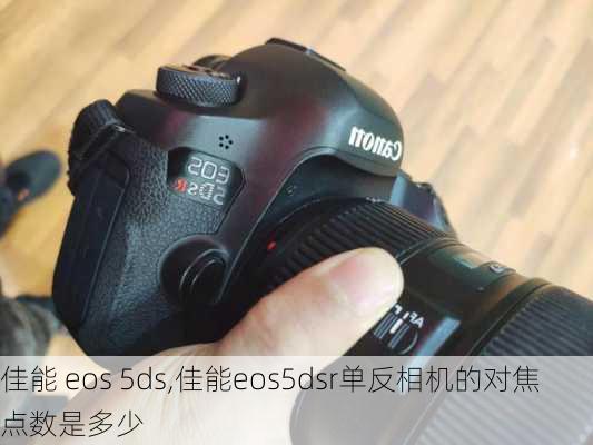 佳能 eos 5ds,佳能eos5dsr单反相机的对焦点数是多少