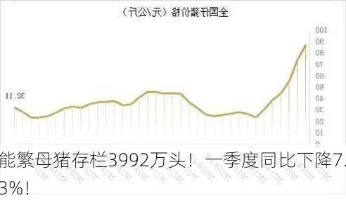 能繁母猪存栏3992万头！一季度同比下降7.3%！