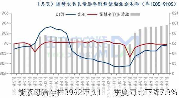 能繁母猪存栏3992万头！一季度同比下降7.3%！