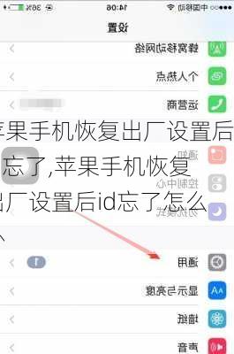 苹果手机恢复出厂设置后id忘了,苹果手机恢复出厂设置后id忘了怎么办