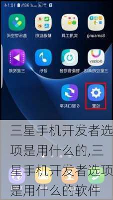 三星手机开发者选项是用什么的,三星手机开发者选项是用什么的软件