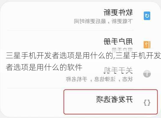 三星手机开发者选项是用什么的,三星手机开发者选项是用什么的软件