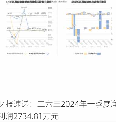 财报速递：二六三2024年一季度净利润2734.81万元