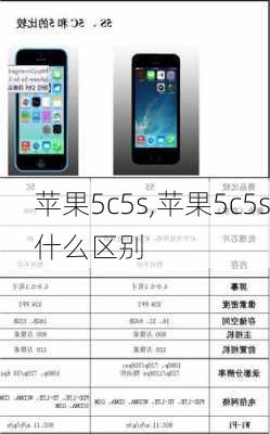 苹果5c5s,苹果5c5s什么区别