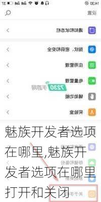魅族开发者选项在哪里,魅族开发者选项在哪里打开和关闭