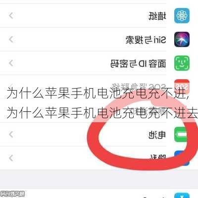 为什么苹果手机电池充电充不进,为什么苹果手机电池充电充不进去