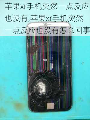 苹果xr手机突然一点反应也没有,苹果xr手机突然一点反应也没有怎么回事