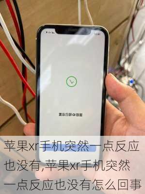 苹果xr手机突然一点反应也没有,苹果xr手机突然一点反应也没有怎么回事
