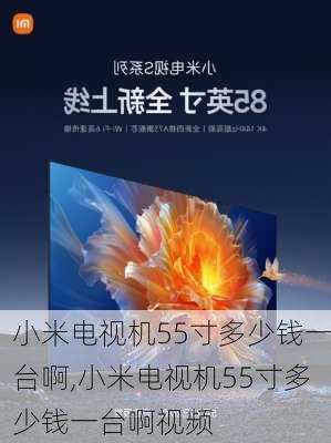 小米电视机55寸多少钱一台啊,小米电视机55寸多少钱一台啊视频