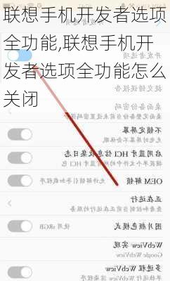 联想手机开发者选项全功能,联想手机开发者选项全功能怎么关闭