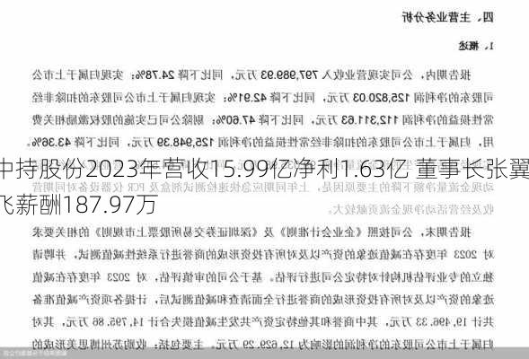 中持股份2023年营收15.99亿净利1.63亿 董事长张翼飞薪酬187.97万