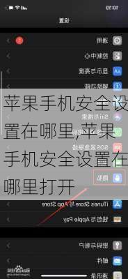 苹果手机安全设置在哪里,苹果手机安全设置在哪里打开