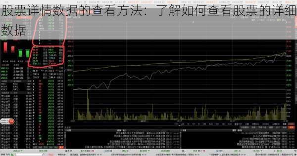 股票详情数据的查看方法：了解如何查看股票的详细数据