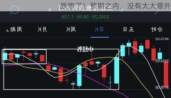 跌惨了！预期之内，没有太大意外