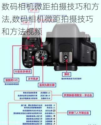 数码相机微距拍摄技巧和方法,数码相机微距拍摄技巧和方法视频