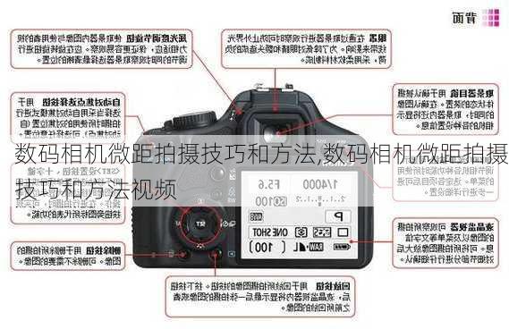 数码相机微距拍摄技巧和方法,数码相机微距拍摄技巧和方法视频