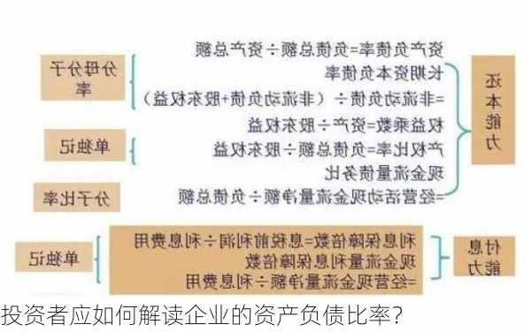 投资者应如何解读企业的资产负债比率？